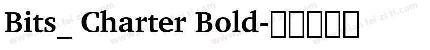 Bits_ Charter Bold字体转换